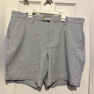 Classic Navy Striped Men's Banana Republic Shorts